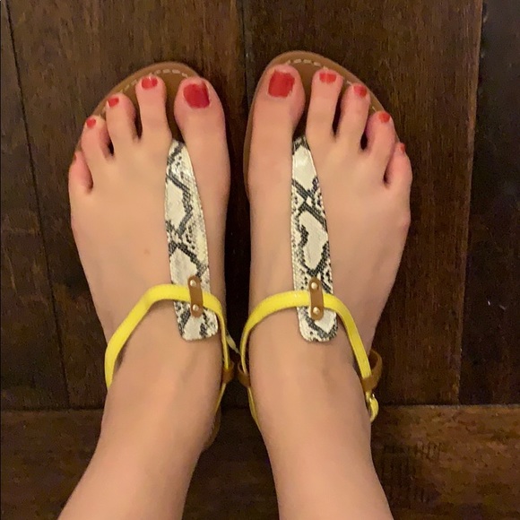 LOFT Snake Print Sandals Size 7 New - Picture 3 of 3